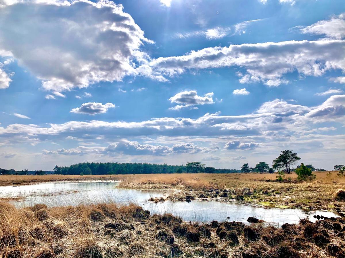 Sluwe Vos: Ontspannen In Het Bos! Otterlo Exterior foto