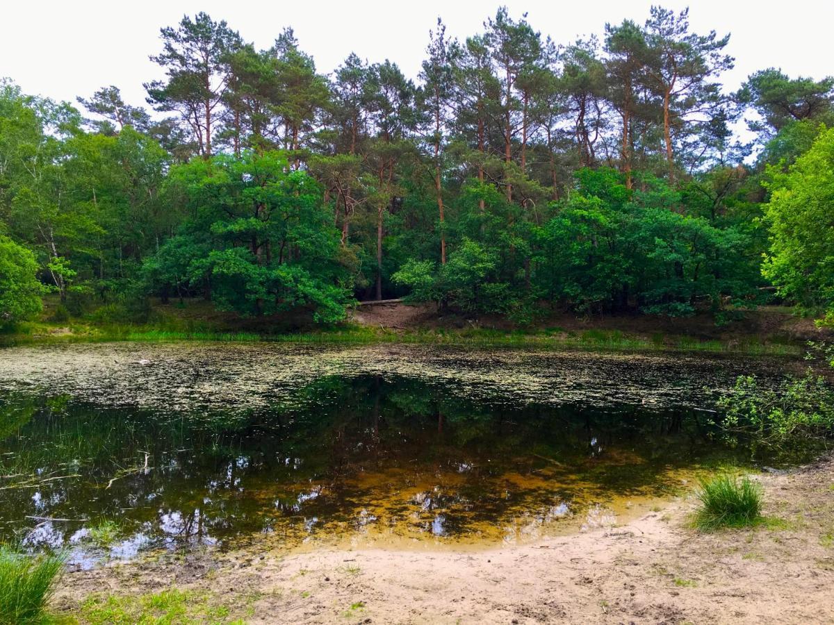 Sluwe Vos: Ontspannen In Het Bos! Otterlo Exterior foto
